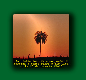Coqueiro